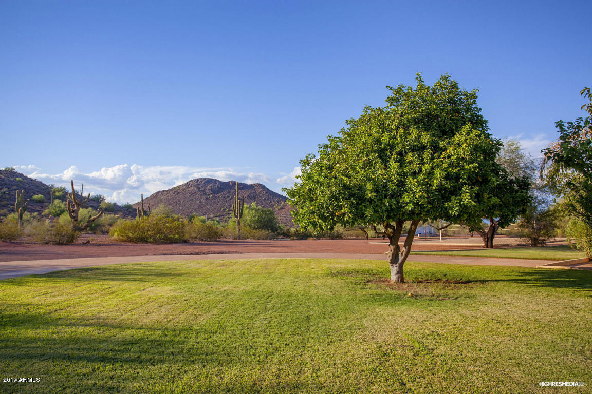 14945 West Jomax Road Surprise, AZ 85387 - Photo 23 of 27 20160823034253591610000000-o