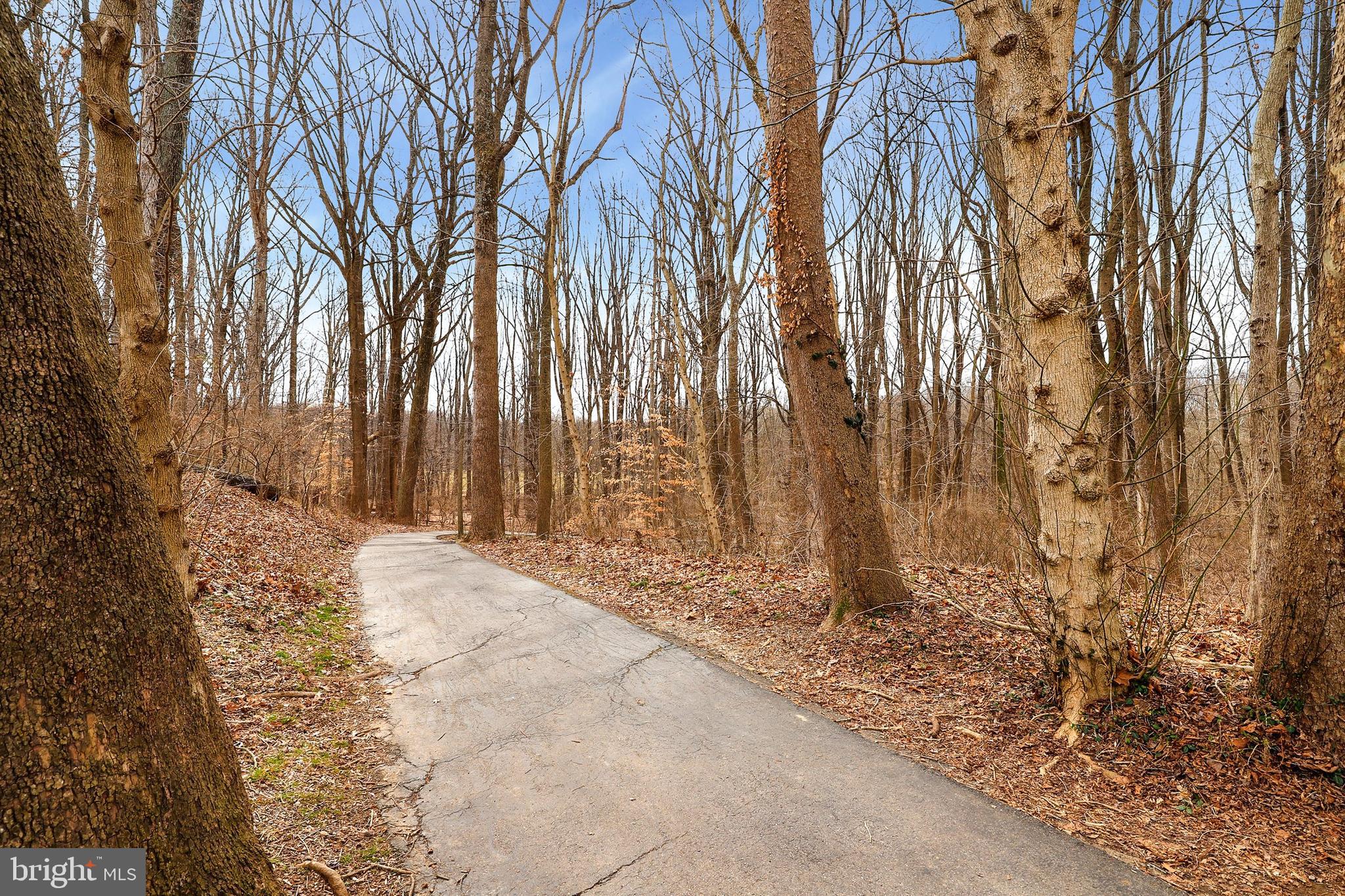4206 Round Hill Road Silver Spring, MD 20906 - Photo 19 of 27