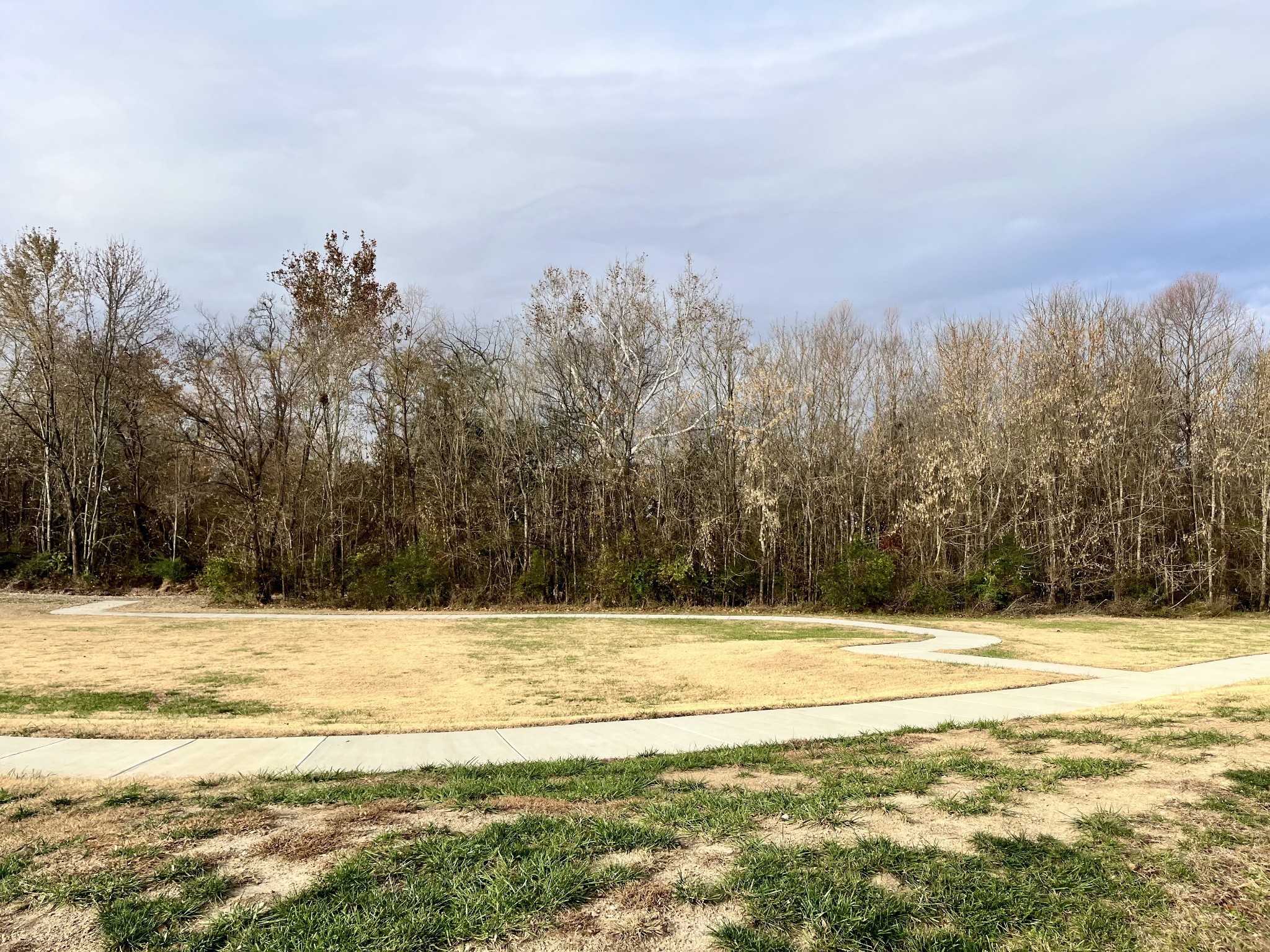 207 B Folsom Pass Spring Hill Spring Hill, TN 37174 - Photo 19 of 39