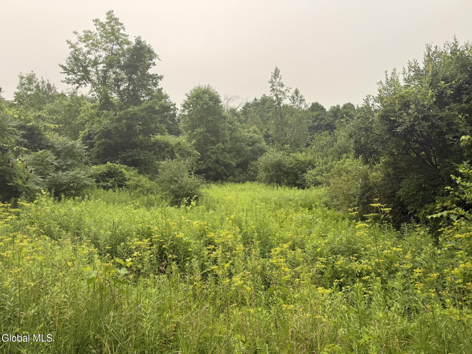 276 Tanner Hill Road Whitehall, NY 12887 - Photo 7 of 7 1
