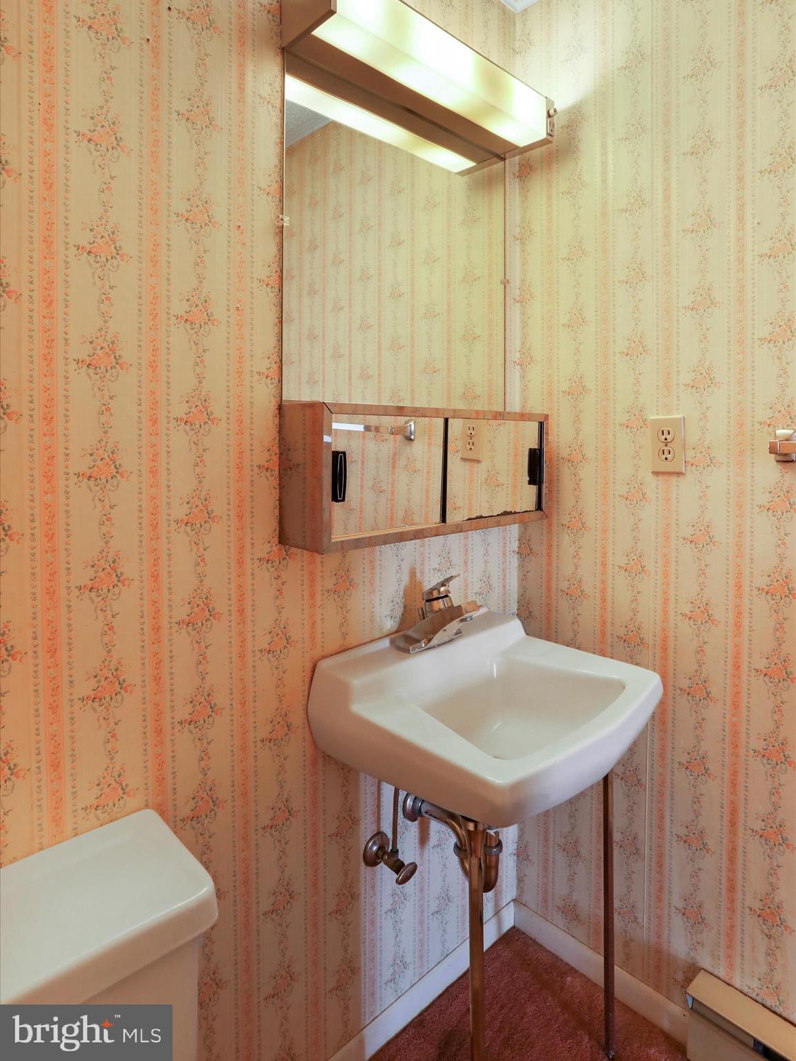 101 Carvers Way Falling Waters, WV 25419 - Photo 17 of 37 a bathroom with a sink and a mirror