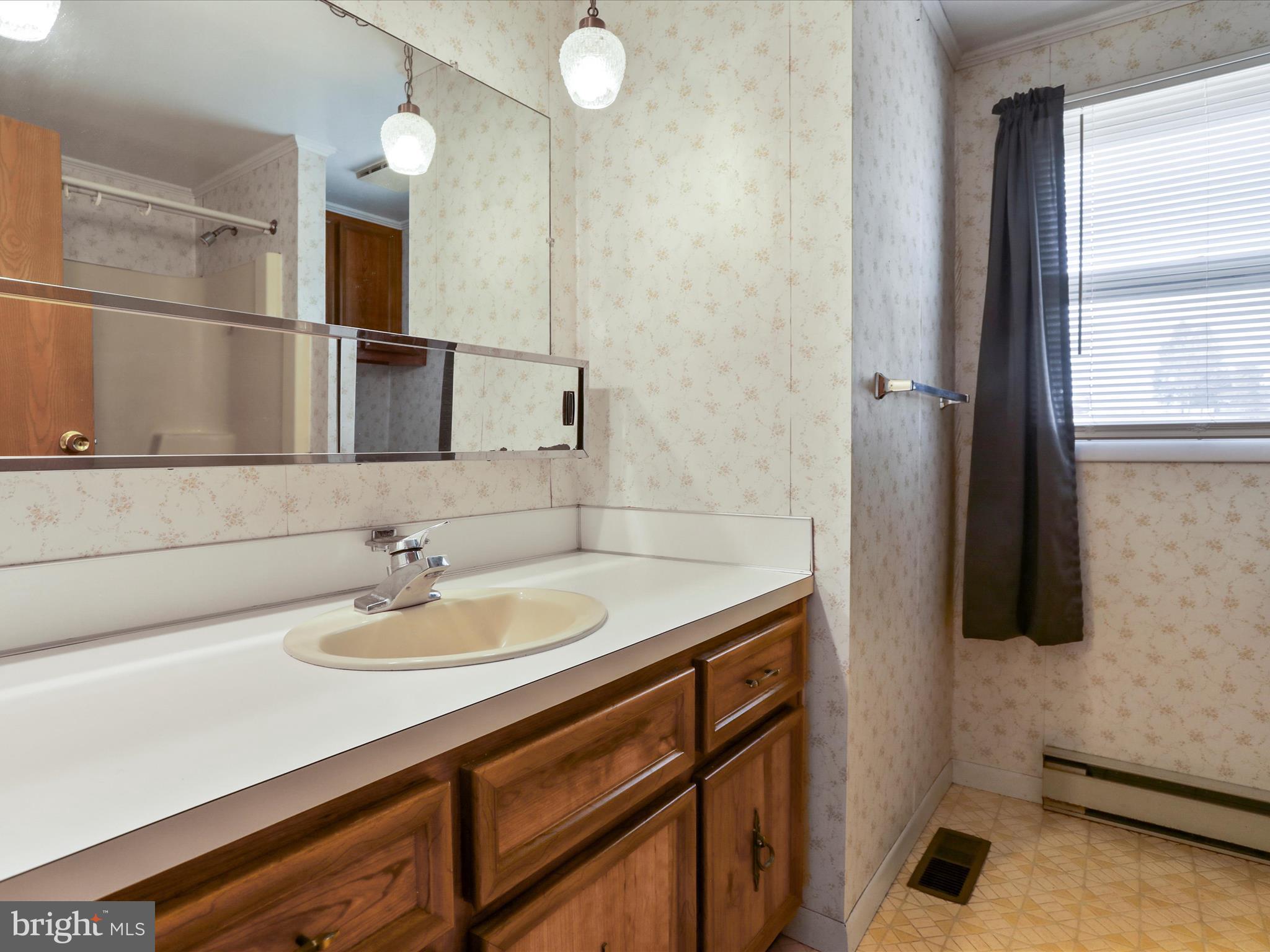101 Carvers Way Falling Waters, WV 25419 - Photo 18 of 37 a bathroom with a sink and a mirror