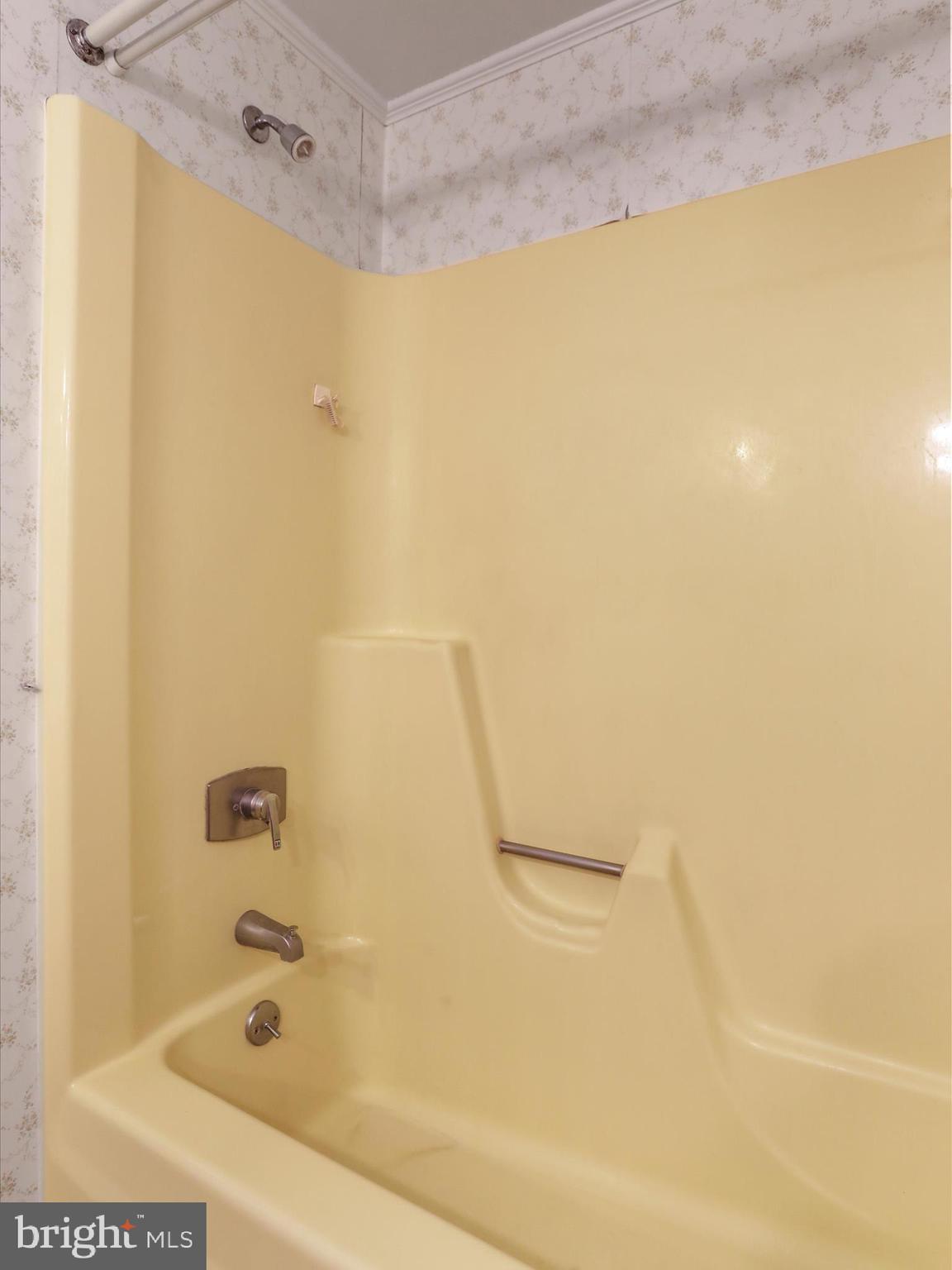 101 Carvers Way Falling Waters, WV 25419 - Photo 20 of 37 a bathroom with a shower and a bath tub