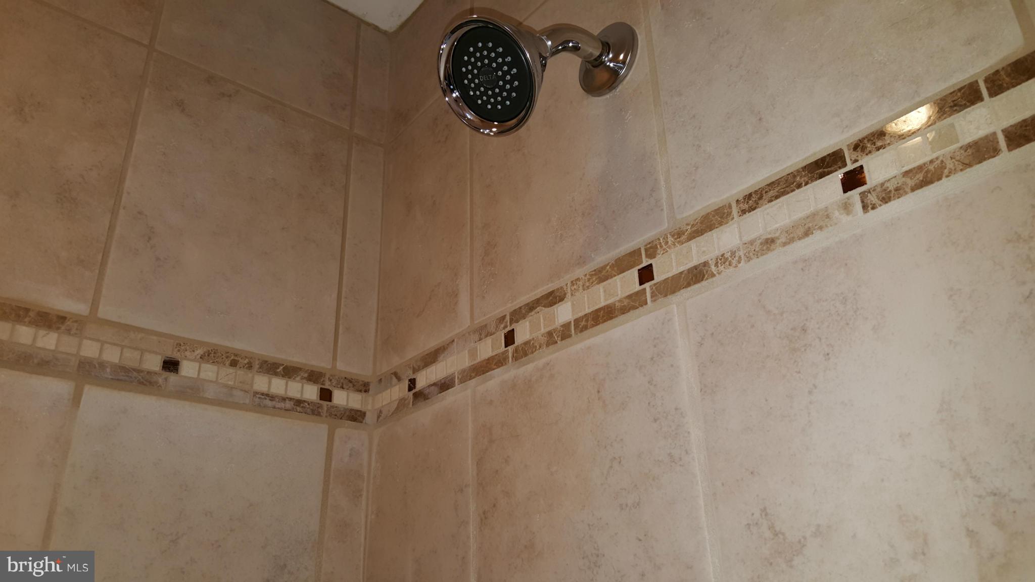 7810 Blue Grass Road Baltimore, MD 21237 - Photo 12 of 30 Shower Detail