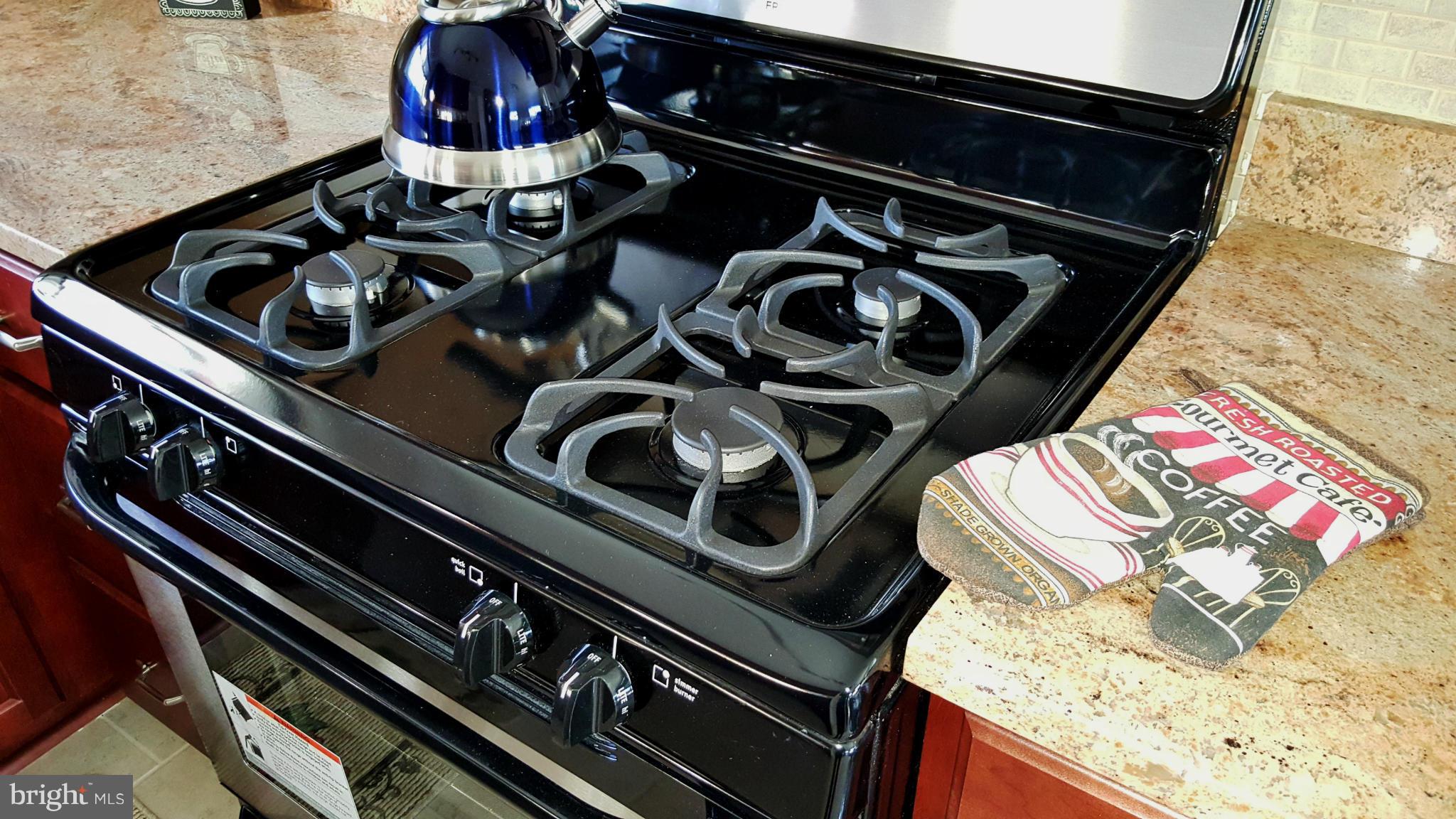 7810 Blue Grass Road Baltimore, MD 21237 - Photo 16 of 30 Gas Range