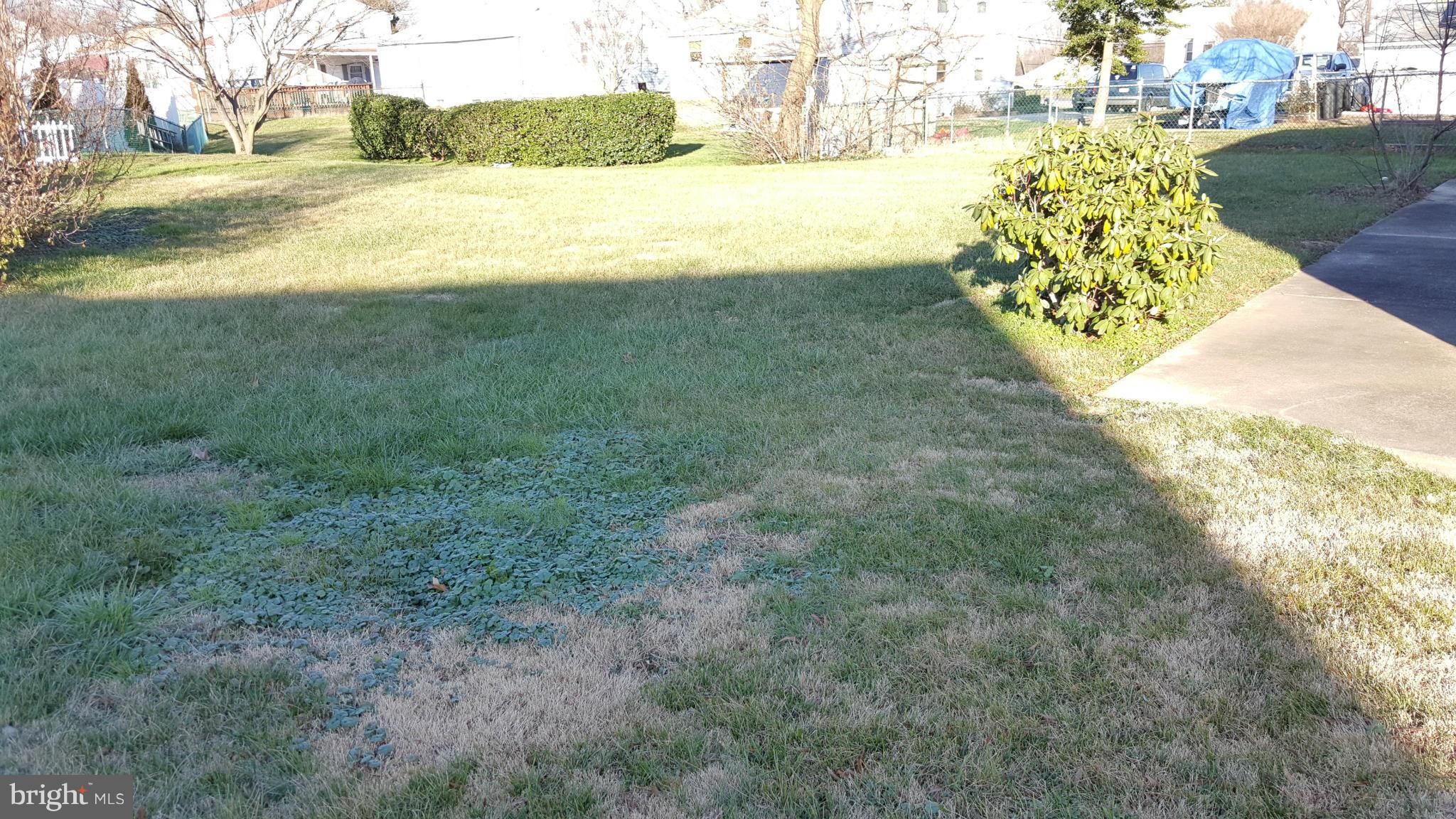 7810 Blue Grass Road Baltimore, MD 21237 - Photo 28 of 30 Back Yard