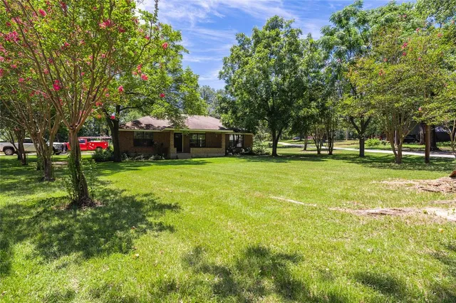 a view of a park with large trees