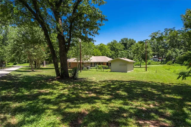 a green field with lots of trees