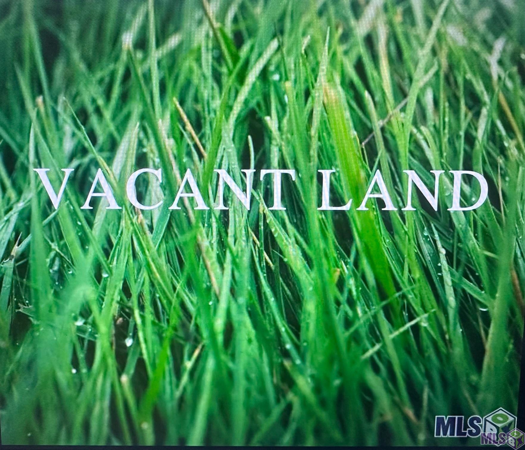 26110 Juban Road Denham Springs, LA 70726 - Photo 1 of 1