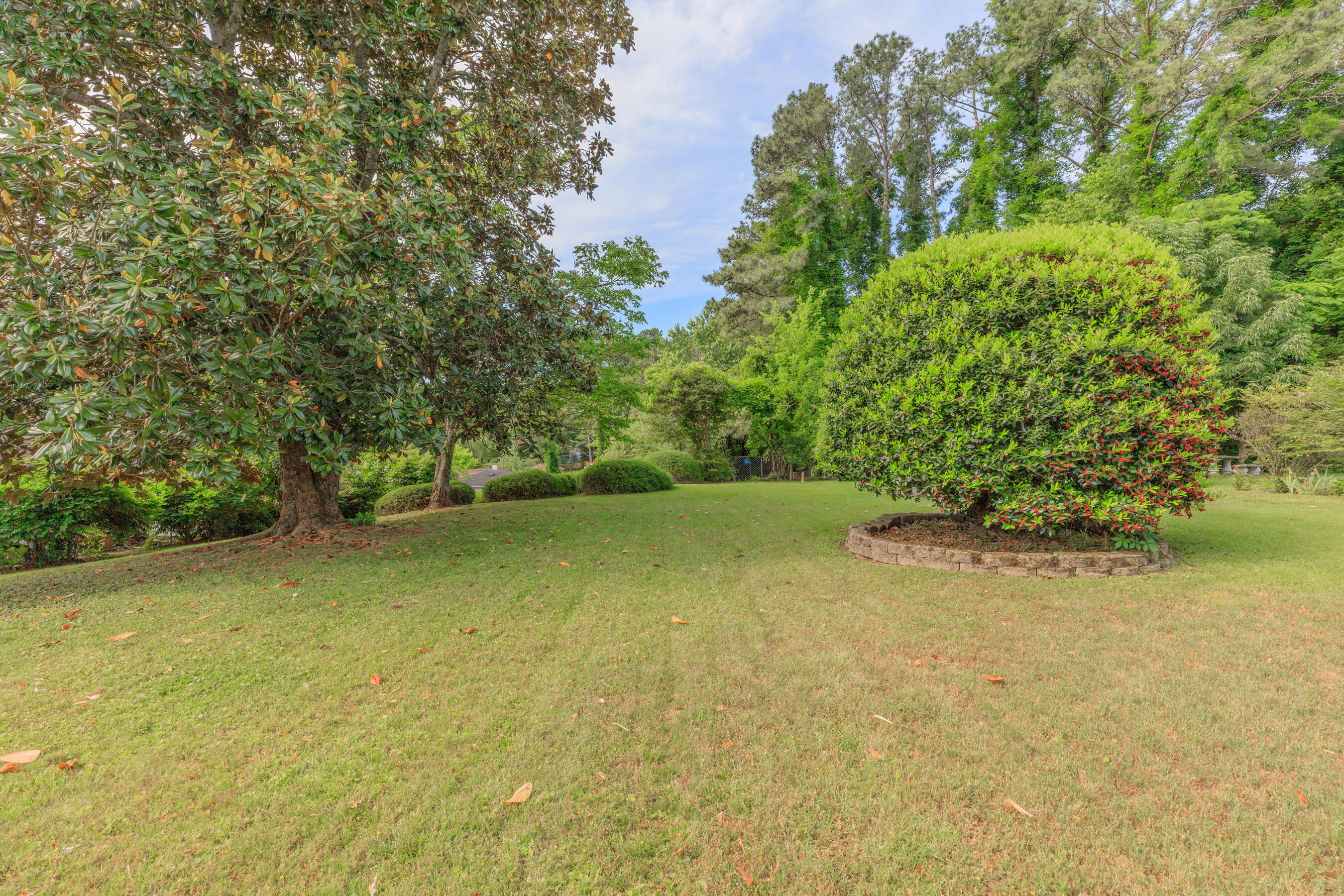 8790 Igou Gap Road Chattanooga, TN 37421 - Photo 38 of 46 Large back yard