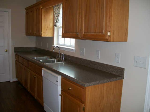 346 Paul Thompson Road Bethpage, TN 37022 - Photo 9 of 20 Delighful Kitchen Cabinets Offer Not Only Durable Beauty But Plenty Of Space !