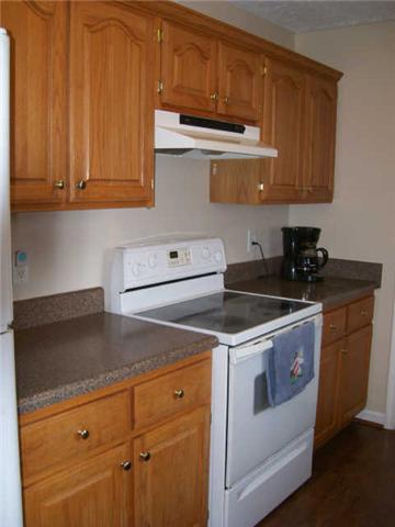 346 Paul Thompson Road Bethpage, TN 37022 - Photo 10 of 20 Finally A Cozy Kitchen With Plenty Of Cupboard Space And Convenient Work Area !