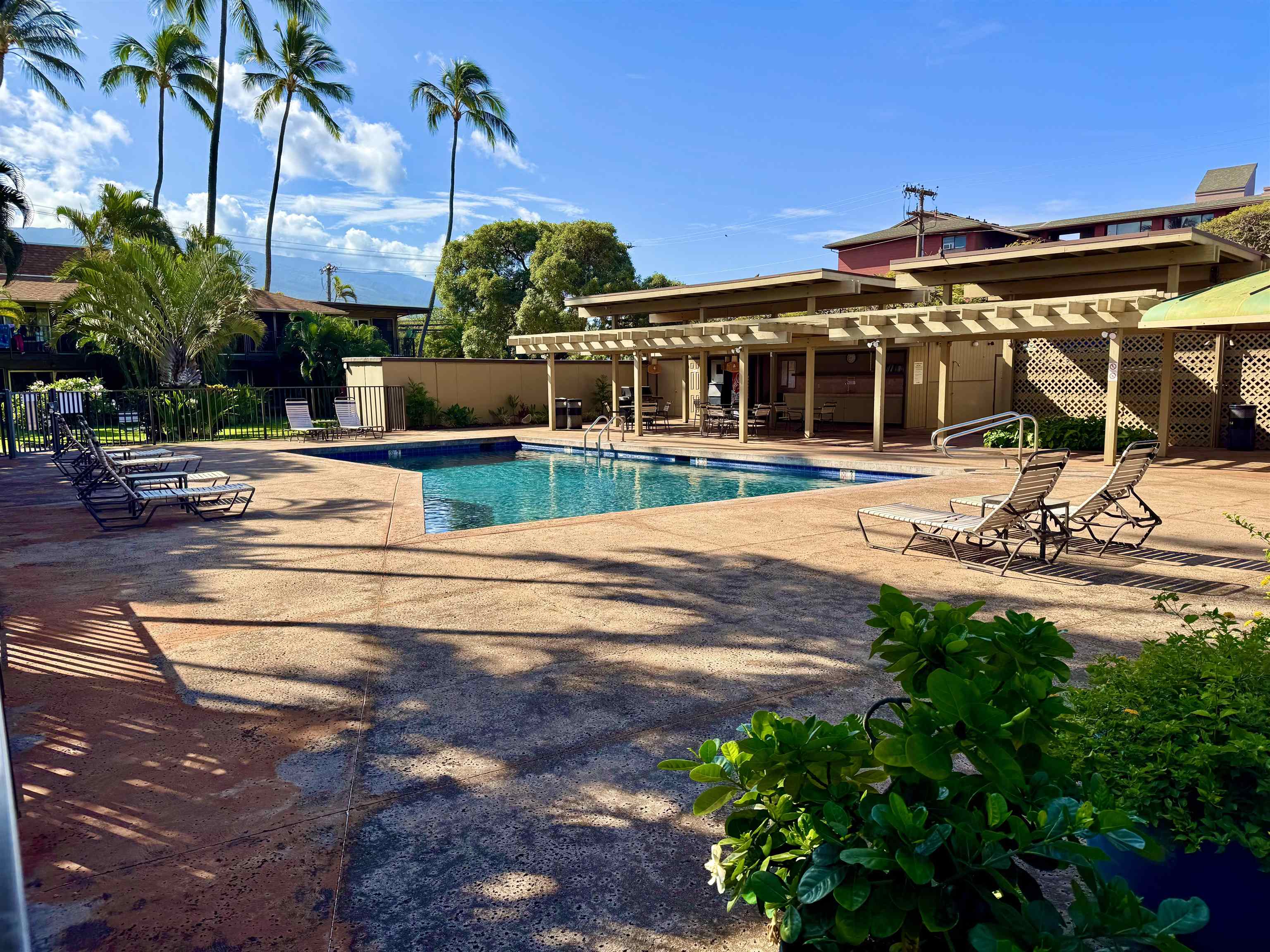 3559 Lower Honoapiilani Road, Unit 2D Lahaina, HI 96761 - Photo 14 of 16 a view of a patio with table and chairs potted plants and palm trees