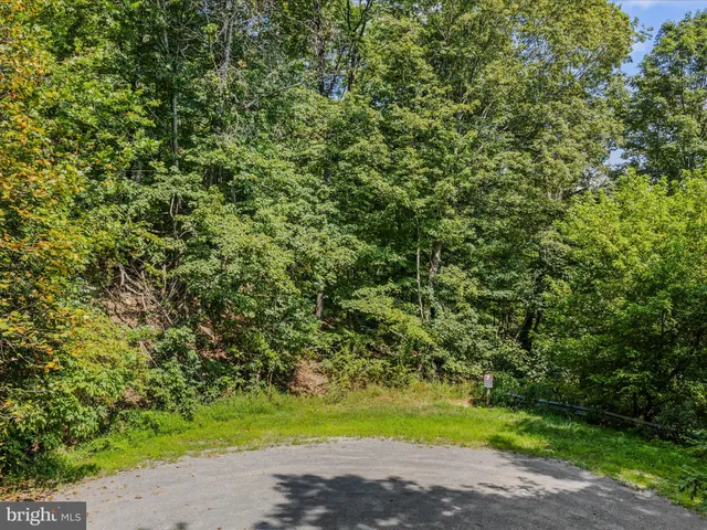 a view of a mountain range with lush green forest