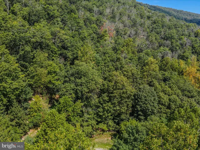 a view of a forest with mountains in the background