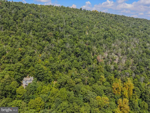 a view of a field with an ocean
