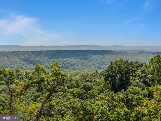 a view of a city with lush green forest