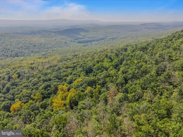 a view of a field with an ocean view
