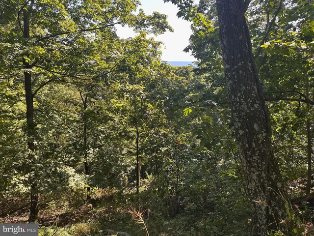 $79,900 | R5 Bobcat Drive, Berkeley Springs, WV 25411