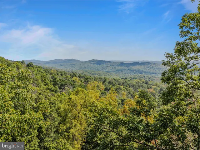 an outdoor view of a house with a tree
