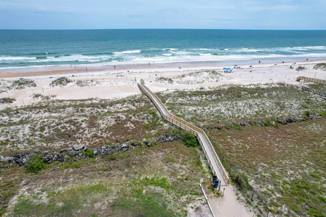 a view of a road with a lot of trees