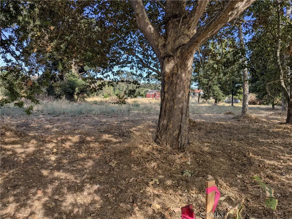 0 Sycamore Road Atascadero, CA 93422 - Photo 1 of 1 Welcome to Sycamore Rd in Atascadero.