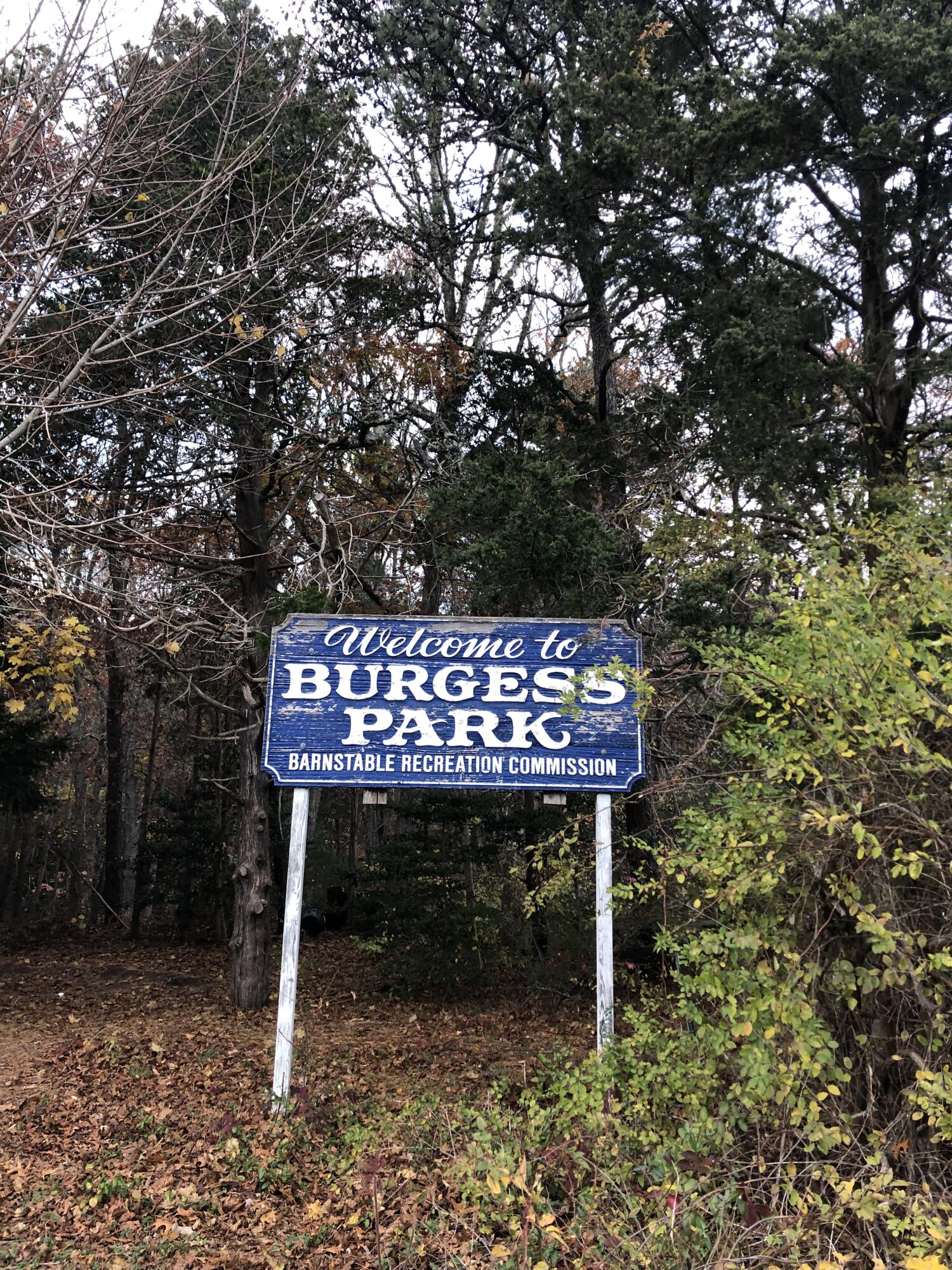 5 Conaumet Road Marstons Mills, MA 02648 - Photo 37 of 44 a view of a wooden bench next to a yard