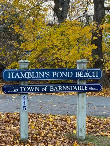a view of a large pool with lawn chairs and large trees