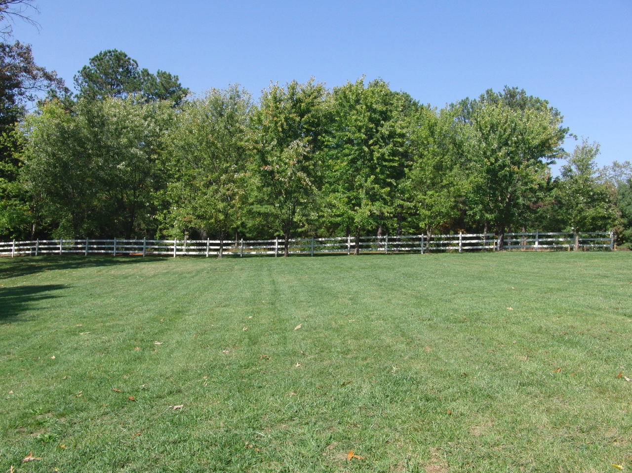 75 Anthony Ford Road Penhook, VA 24137 - Photo 5 of 5 Fenced Yard