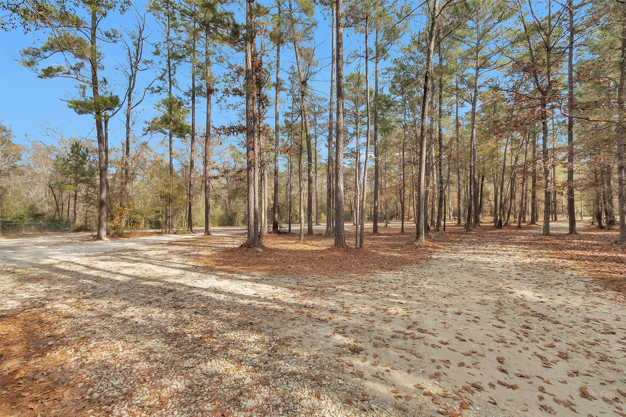 215 Fm 2929 Road Huntsville, TX 77340 - Photo 45 of 50 a view of outdoor space with trees