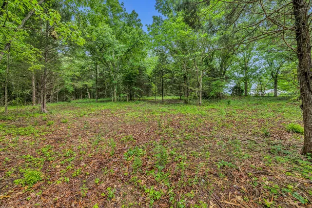 a view of a green field with trees in the background