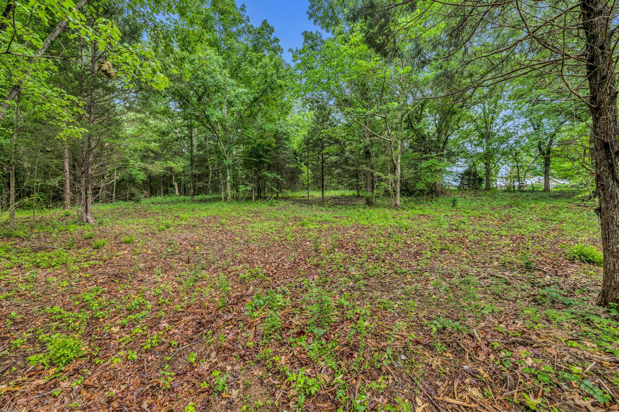 a view of a green field with trees in the background