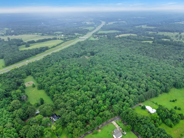a view of a green field with lots of green space in it