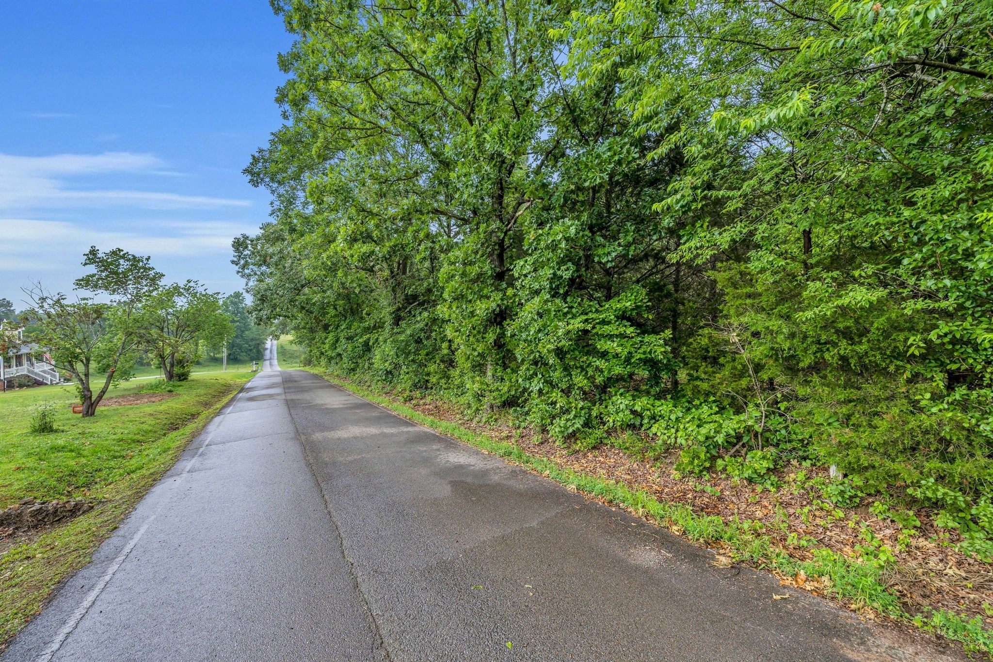 921 Eli Road Bon Aqua, TN 37025 - Photo 7 of 13 a view of a garden