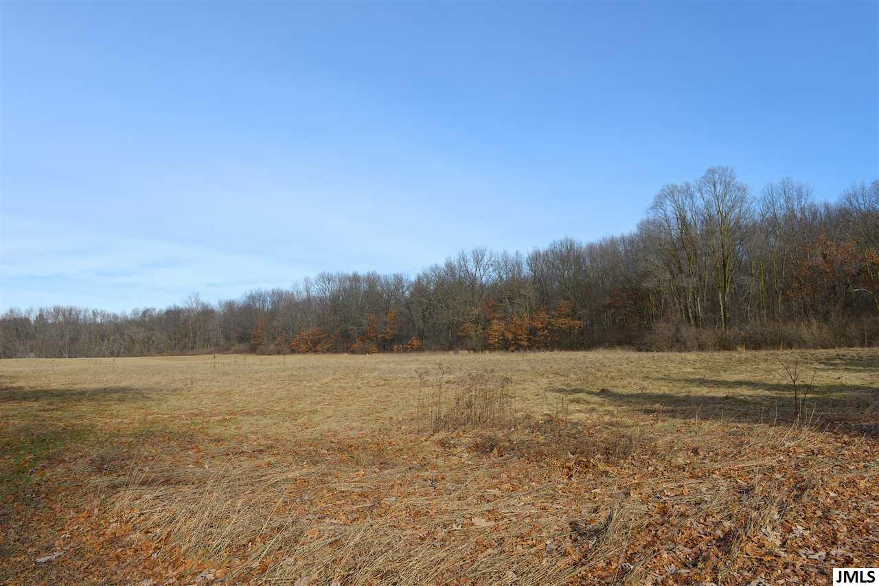 Vl Munith Road Jackson, MI 49201 - Photo 2 of 7 Photo 2