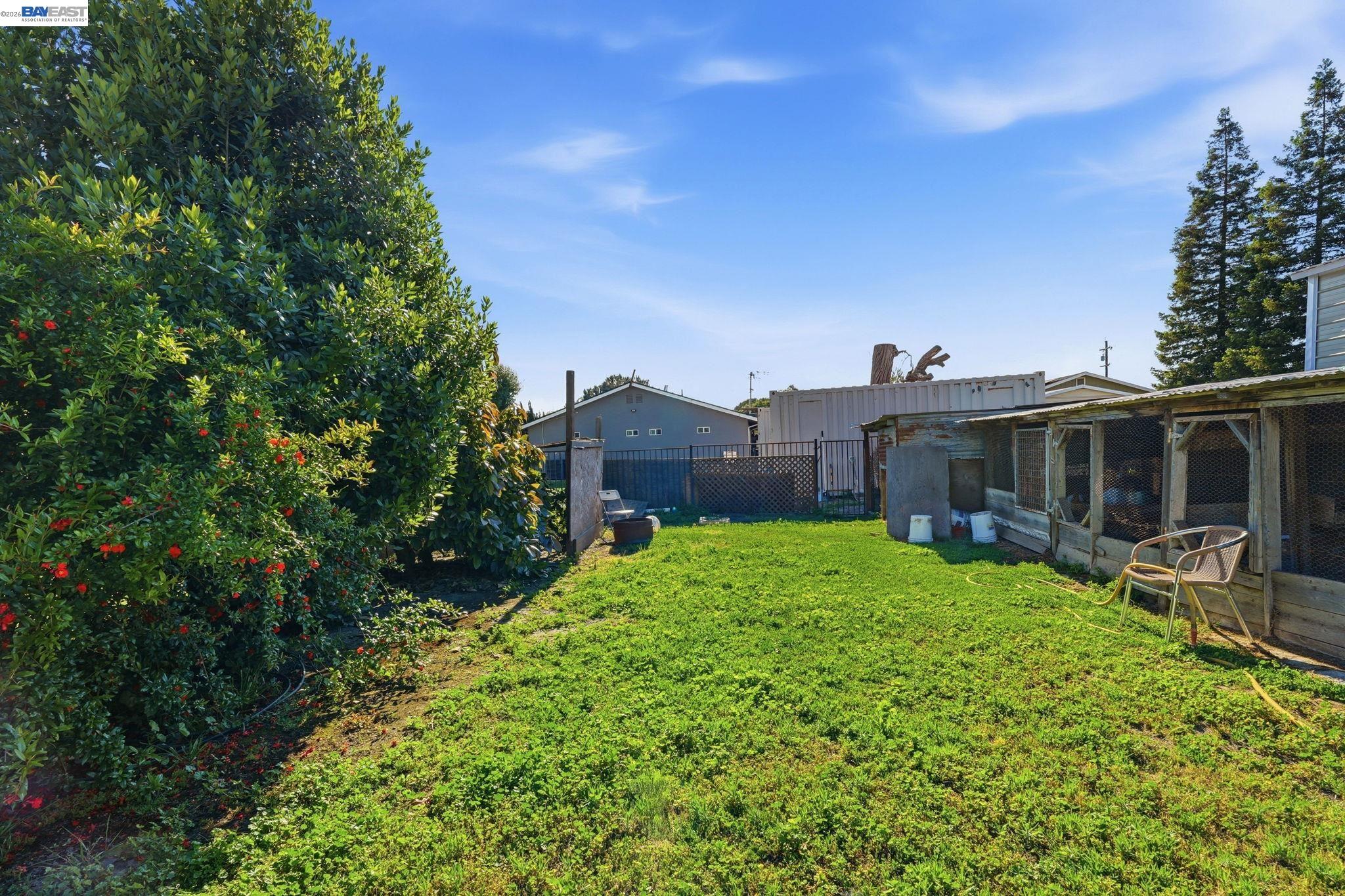 10378 South Priest Road French Camp, CA 95231 - Photo 43 of 44 a view of backyard with table and chairs and potted plants