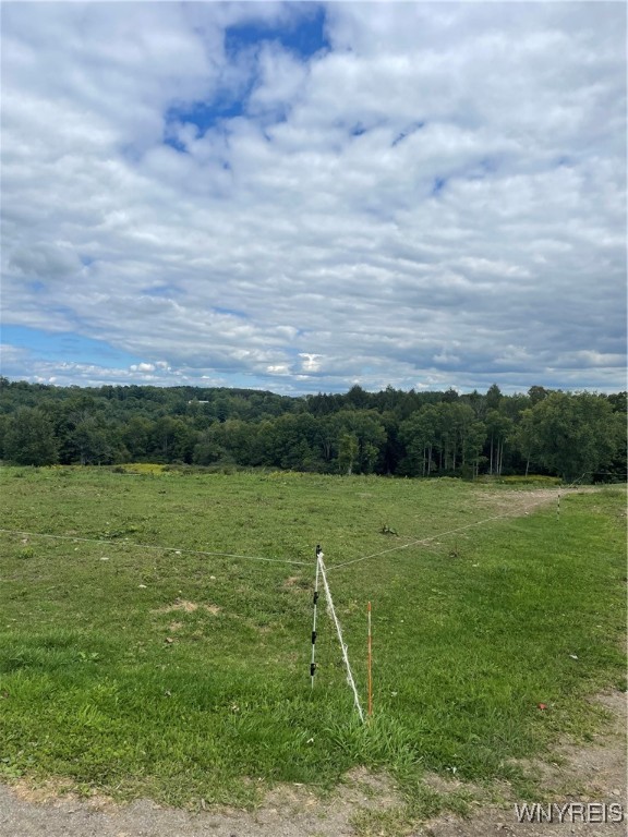 11339 Merwin Road Hume, NY 14735 - Photo 41 of 50