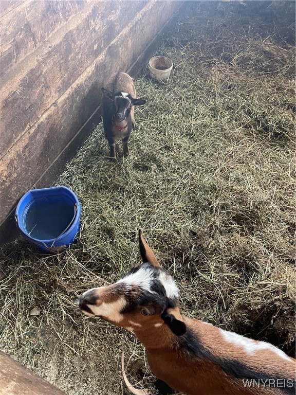 11339 Merwin Road Hume, NY 14735 - Photo 44 of 50