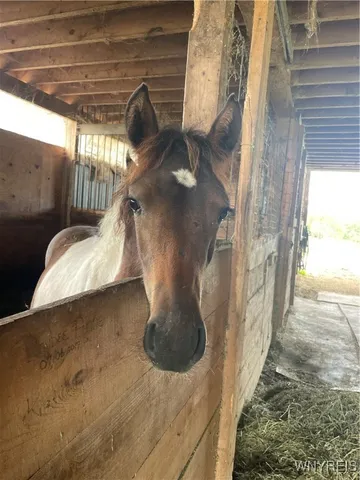 $165,000 | 11339 Merwin Road, Hume, NY 14735