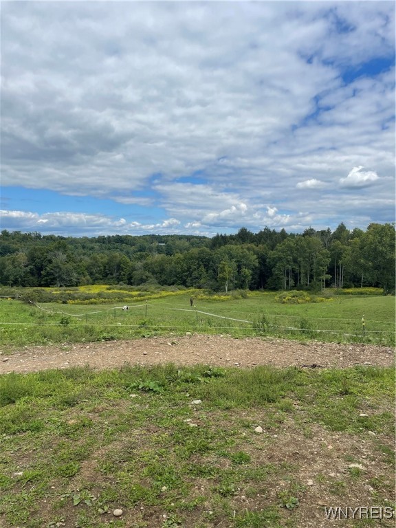 11339 Merwin Road Hume, NY 14735 - Photo 50 of 50