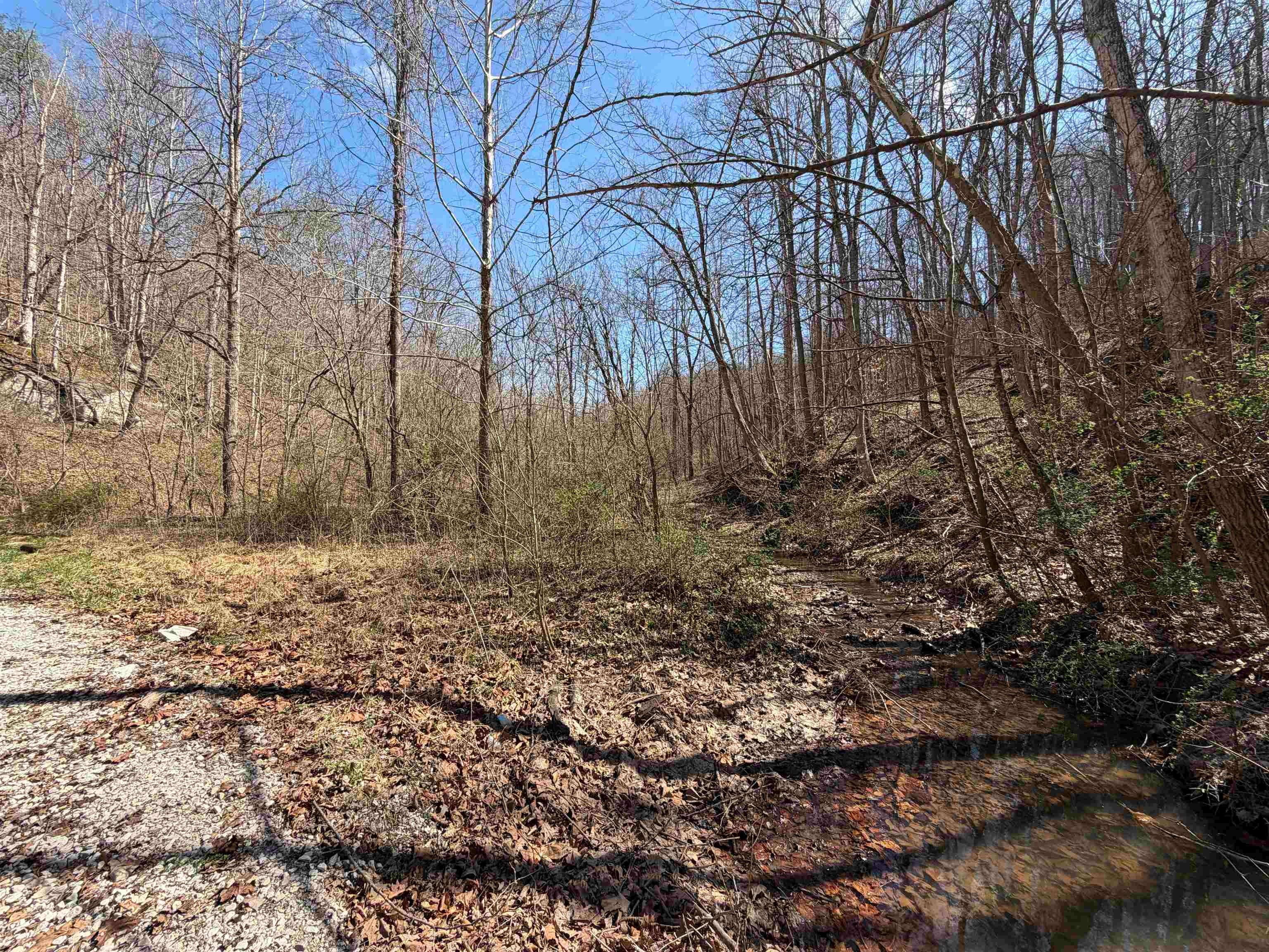 0 Dunfee Road Lesage, WV 25537 - Photo 5 of 24 Gallery Image 5