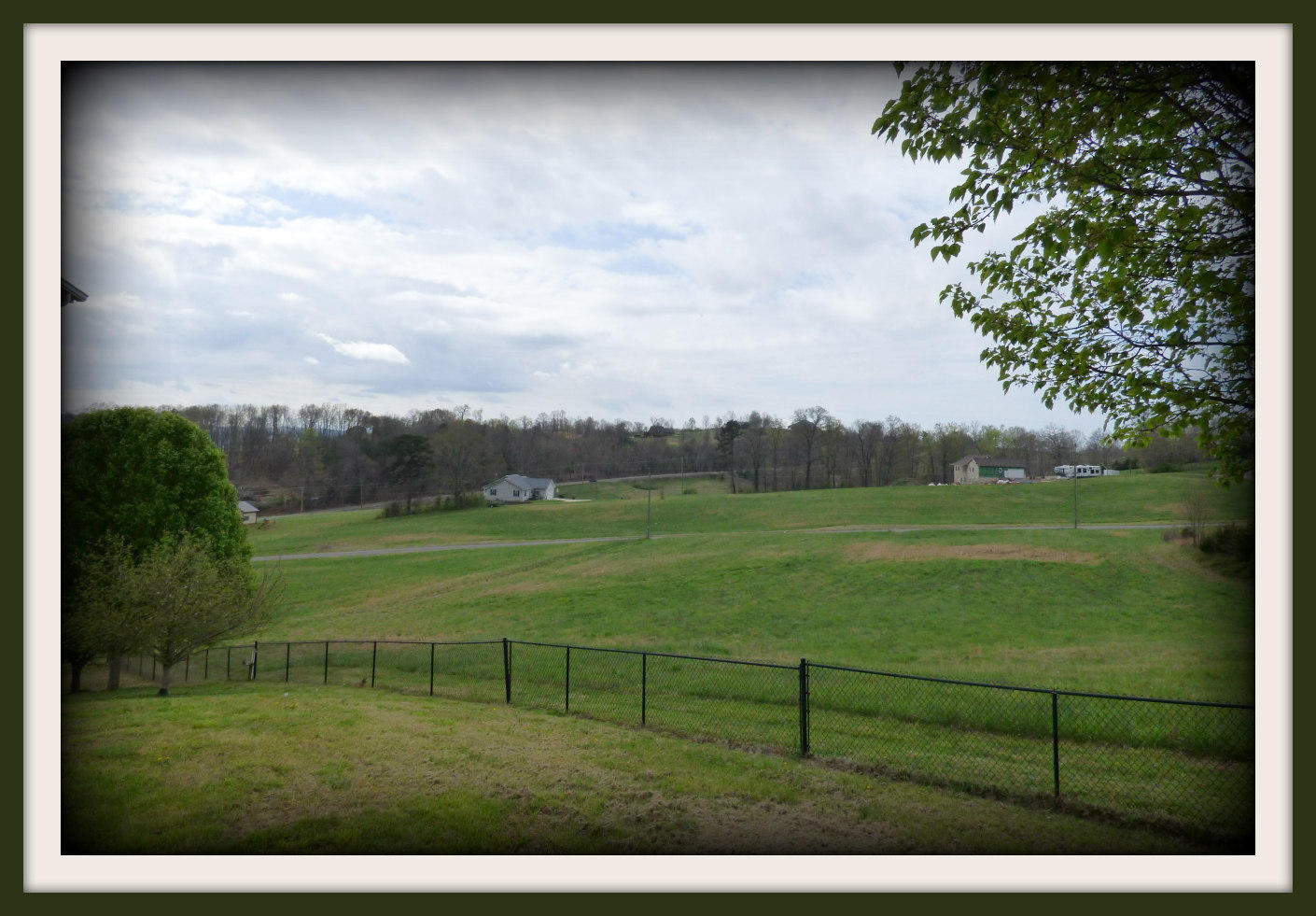 337 Pocahontas Lane Rutledge, TN 37861 - Photo 5 of 24 P1150161f