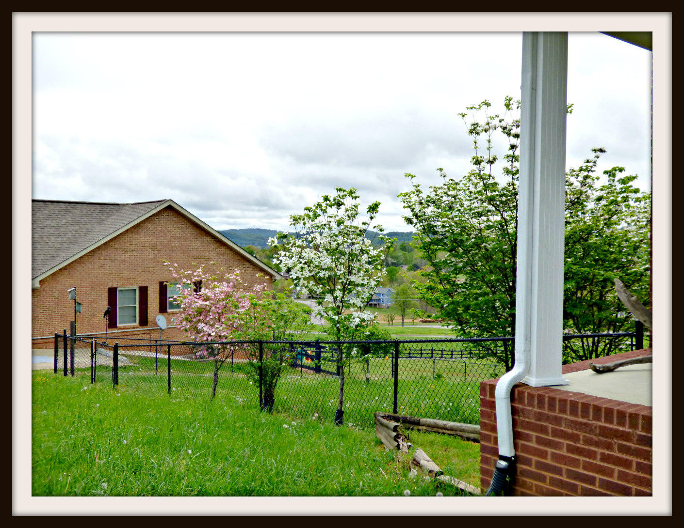 337 Pocahontas Lane Rutledge, TN 37861 - Photo 6 of 24 P1150489F