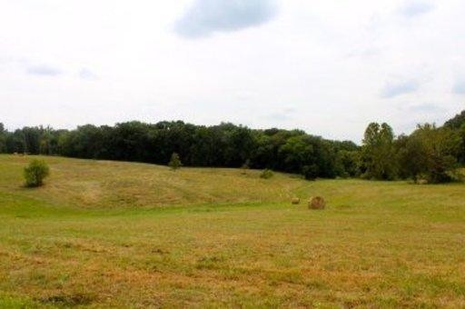 24 Byerley Bend Road Mascot, TN 37806 - Photo 4 of 13