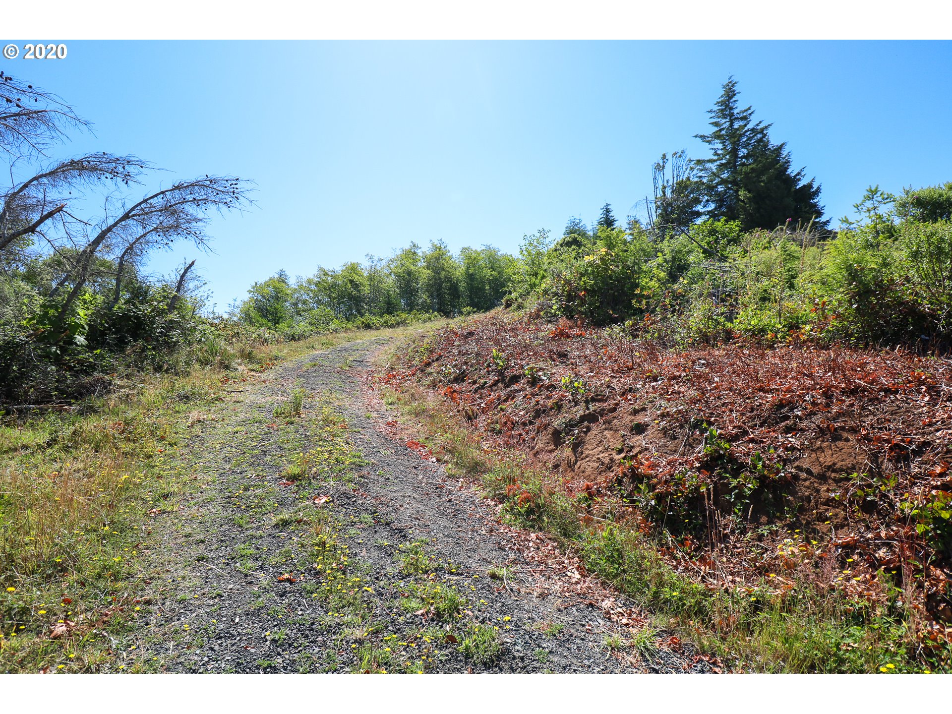 0 Chestnut Road North Bend, OR 97459 - Photo 15 of 20 Gallery Image 15
