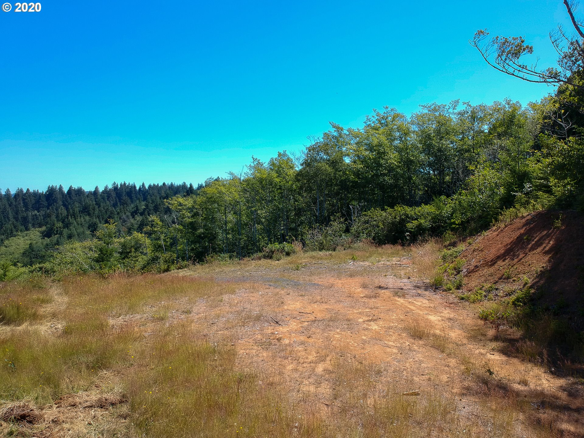 0 Chestnut Road North Bend, OR 97459 - Photo 8 of 20 Gallery Image 8