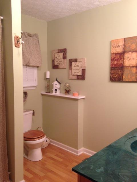 277 Bradshaw Road Lebanon, TN 37087 - Photo 16 of 30 a bathroom with a toilet and a sink