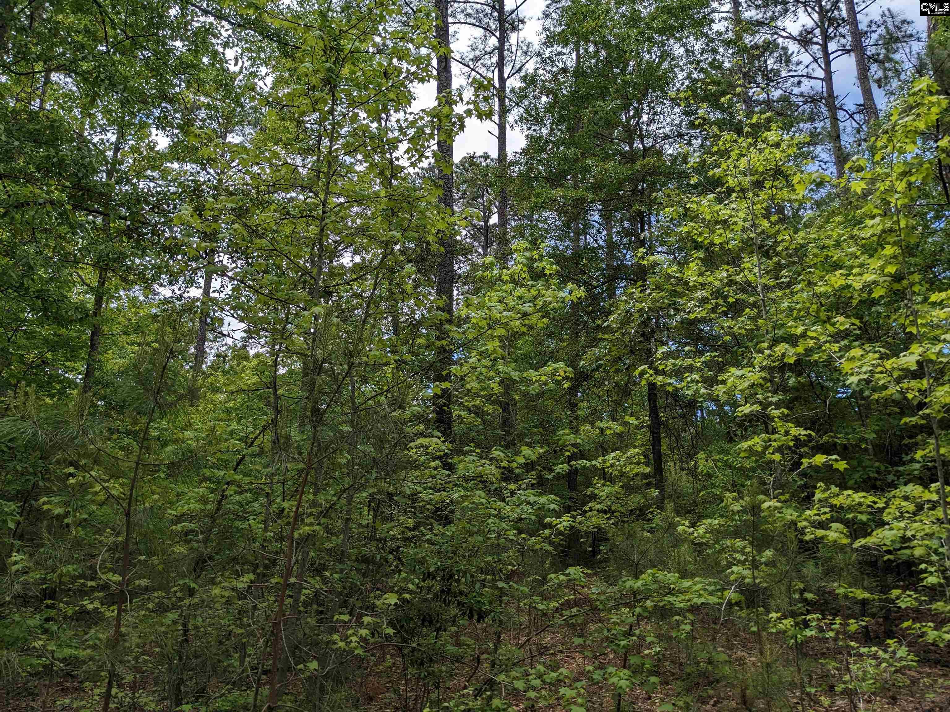 Syrup Mill Road Ridgeway, SC 29130 - Photo 20 of 33