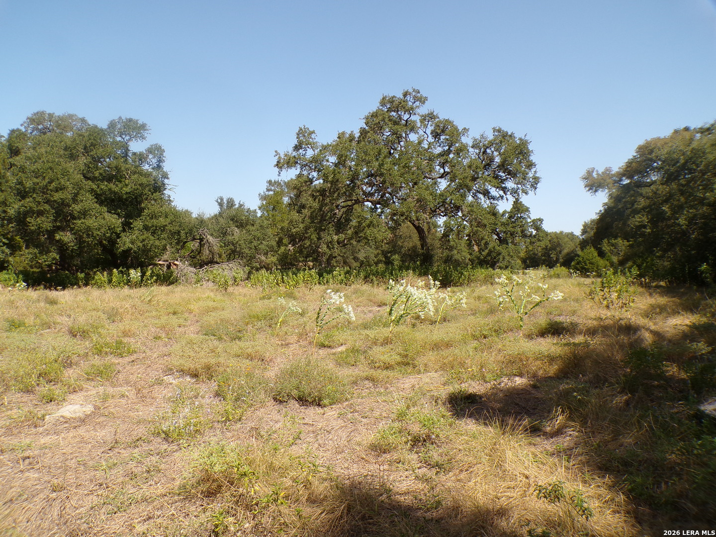 31401 Smithson Valley Road Bulverde, TX 78163 - Photo 6 of 12 Gallery Image 6