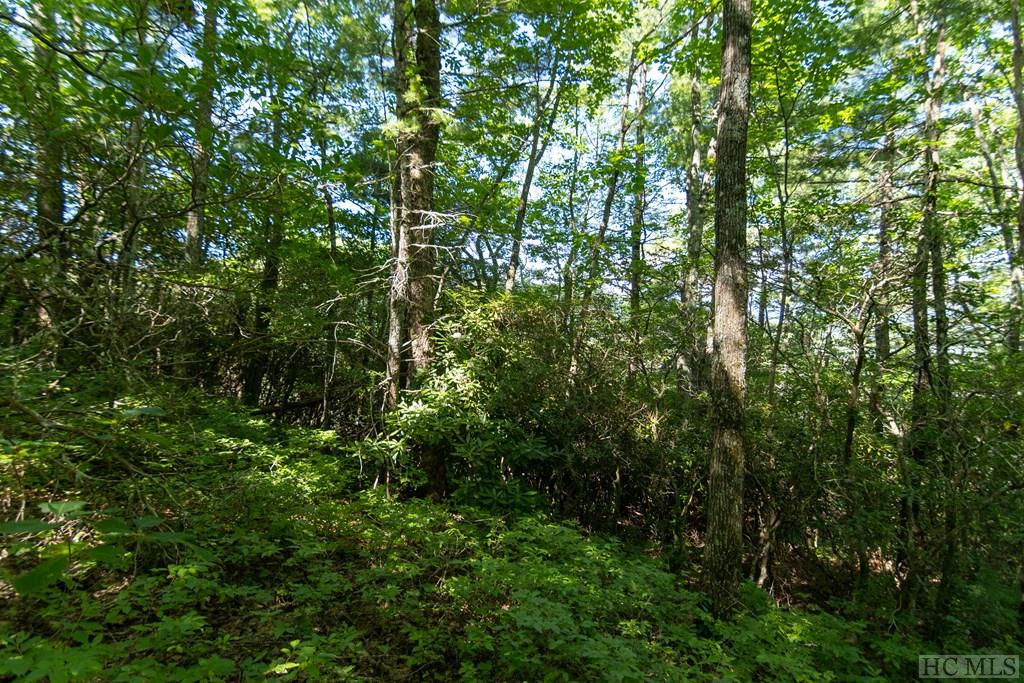 Lot 2 East Ridge Road Cashiers, NC 28717 - Photo 5 of 14 Gallery Image 5